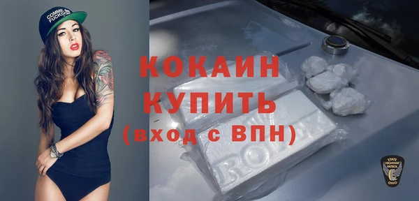 шишки Абдулино