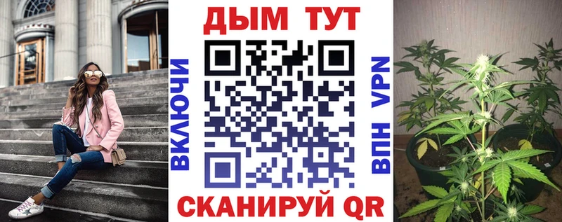 сколько стоит  Елизаветинская  МАРИХУАНА сатива 
